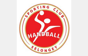 Remise de la dotation à la Section Handball de Selongey